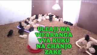 Uleaji wa Vifaranga vya Kuku na Chanjo Zake [upl. by Nibaj]