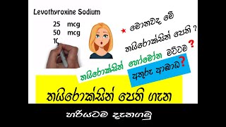 තයිරොක්සින් බොන ඔබ මේ කරුණු දන්නවාද Do you know these about Thyroxine as a drug [upl. by Mosi525]