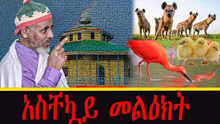 live አስቸኳይ መልዕክት [upl. by Saba]