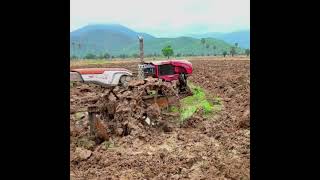 Farmers plow the fields by bulldozer field ricefield bulldozer farmer sports [upl. by Odlo720]