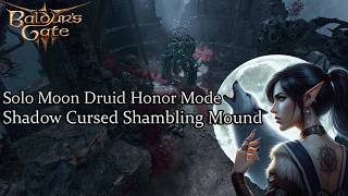 Solo Moon Druid Shadow Cursed Shambling Mound Honor Run [upl. by Derrik457]