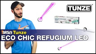 Tunze EcoChic Refugium LED  Its waterproof Literally light your refugium from every angle [upl. by Malik713]