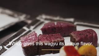 Sustainable Iwate Wagyu [upl. by Atnuahc275]