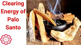 Clearing Energy of Palo Santo 💮 [upl. by Bundy]