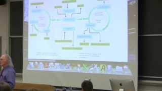 35 Biochemistry Lecture Nitrogen and Amino Acid Metabolism from Kevin Aherns BB 350 [upl. by Rutter752]