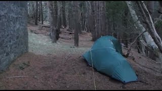 Pupper Winter Wild Camp Drinnahilly Donard Wood Mourne mountains [upl. by Arabrab291]