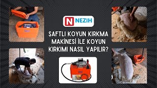 Nezih Şaftlı Koyun Kırkma Makinesi İle Koyun Kırkımı Nasıl Yapılır [upl. by Elysia175]