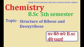 Structure of Ribose and Deoxyribose  BSc 5th semester [upl. by Jarid]