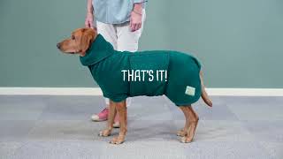 How to use a Ruff and Tumble Dog Drying Coat [upl. by Aidan]