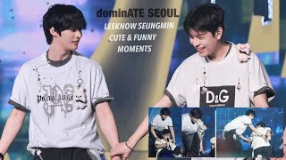 Leeknow Seungmin cute and funny moments  Stray Kids dominATE Seoul concert [upl. by Gerk]