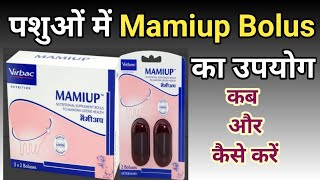 Mamiup bolus uses and mamiup bolus dosage Mamiup bolus virbac VeterinaryFarm [upl. by Aerdnael305]