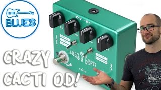 Caline Crazy Cacti Overdrive Pedal [upl. by Chandler]