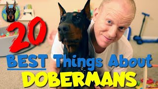 The 20 BEST Things About Owning a Doberman in 2023 [upl. by Mcgurn]