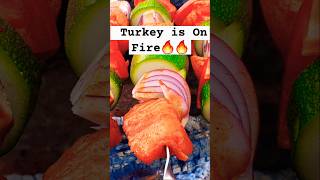 Szaszłyki z Warzywami z Ogniska  ASMR COOKING shorts turkey cooking asmr food dinner fire [upl. by Alletneuq]