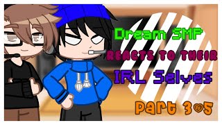 Dream SMP  Quackity reacts to their IRL Selves  My AU  Part 35 [upl. by Annayd880]