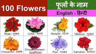 Flowers Name with Hindi Meaning amp Pronunciation  फूलों के नाम हिंदी अर्थ और इंग्लिश उच्चारण के साथ [upl. by Korff278]