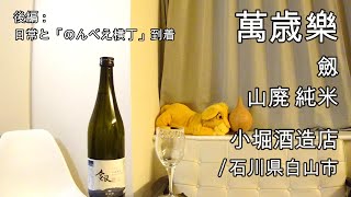 669【萬歳楽 劔】日本酒レビュー＋Vlogめいたもの195日常と「のんべえ横丁」到着 [upl. by Tanitansy]