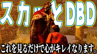 【デッドバイデイラト】スカッと爽快にトンネルキラーから脱出するスカッとDBD。 [upl. by Ynohtnad]