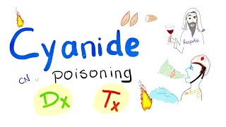 Cyanide Poisoning  Diagnosis amp Treatment [upl. by Nylde220]