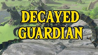 Decayed Guardians  The Legend of Zelda 2023 [upl. by Kopple]