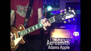 Aerosmith  Adams Apple Guitar cover by TommyAtx🎸 [upl. by Adaliah]