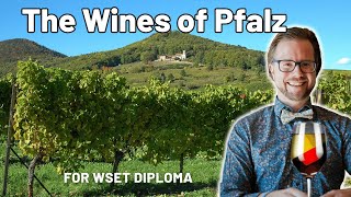 Exploring Germanys Pfalz Wines for WSET Diploma [upl. by Woothen]