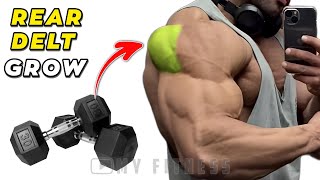 5 Best Rear Deltoid Exercises With Dumbbells Shoulder Workout [upl. by Eeltrebor514]