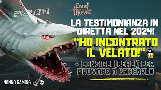 quotHO INCONTRATO IL VELATO NEL 2024quot il racconto su Sea Of Thieves  Megalodonte Shrouded Ghost [upl. by Analim609]