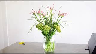 Jane Packer Vase Arrangement Nerines amp Sedum [upl. by Lairbag]