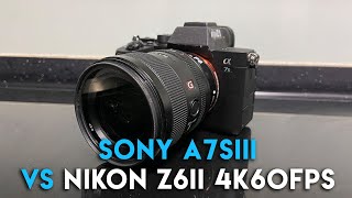 Sony A7SIII vs Nikon Z6II  Preliminary Low Light amp 4K60fps Comparison [upl. by Bary79]