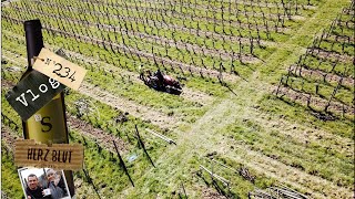 Kahlschlag im Rebberg  Hecke Projekt Teil 1 mit Herzblut zum Wein Vlog 234 [upl. by Krenek]