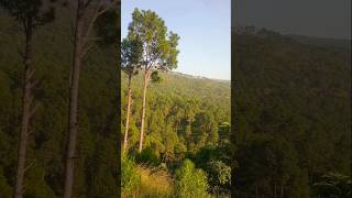 Narar valley forest Kahuta likeSubcribeShare thanks [upl. by Marron]