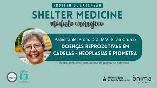 Doenças Reprodutivas em Cadelas Neoplasias e Piometra [upl. by Margie599]