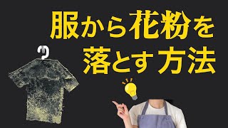 【花粉症対策】見落とされがちな服の花粉対策をやり方を紹介！ [upl. by Eecram]