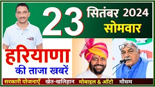 23 September 2024 Haryana News  हरियाणा की ताजा खबरें  Haryana Live News  CWB Hindi News [upl. by Trace]