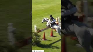 И так бывает 💥 конныйспорт horseshow fyp how equestrian horse action edit stallion [upl. by Asenab838]