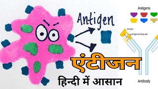 Antigen in hindi  Immunogen  Factors affecting Immunogenicity [upl. by Fiora742]