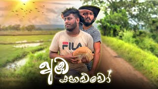 Aba Yahaluwo  අඹ යහළුවෝ  Dukka Productions  Dukka [upl. by Elberta]