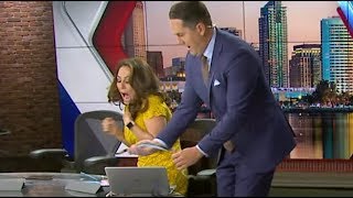 TV anchor scared with snake during live newscast [upl. by Isiah]