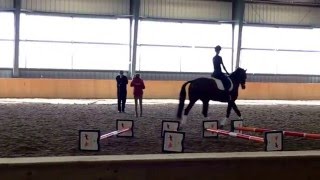 Ingrid Klimke clinic  advanced cavaletti [upl. by Nebeur]