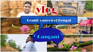 Gangani trip  Grand canyon of Bengal trip vlog medico [upl. by Kissee]