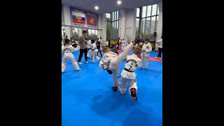 The Art of ITF Taekwondo A Love Story [upl. by Ardeen909]