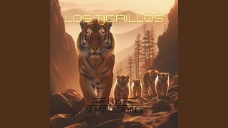 Los Tigrillos [upl. by Julietta]