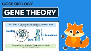 Gene Theory  GCSE Biology [upl. by Carolyne]