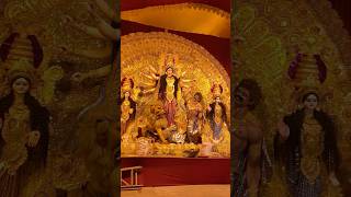 Durga Puja 2024 minivlog banglavlog bengalivlog kalyani kalyaniiti iti durgapuja [upl. by Hubble]