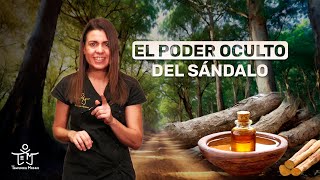 PROPIEDADES MÁGICAS del SÁNDALO 🌱✨ RECETAS EFECTIVAS para LIMPIAR PROTEGER y DESBLOQUEAR 💥✨ [upl. by Anoval]