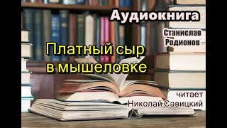 Аудиокнига полностью Платный сыр в мышеловке Детектив [upl. by Home]