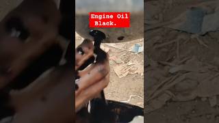 How To Change engine Oil Of Eicher shorts ytshorts automobile mechanic autopart trending oil [upl. by Vastha]