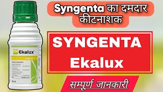 SYNGENTA EKALUX INSECTICIDEEKALUX INSECTICIDEQuinalphos 25 ecA2 FARMING ekalux [upl. by Uliram367]