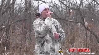 Coyote Call Demos [upl. by Ailey]